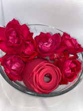 Load image into Gallery viewer, KF Rose
